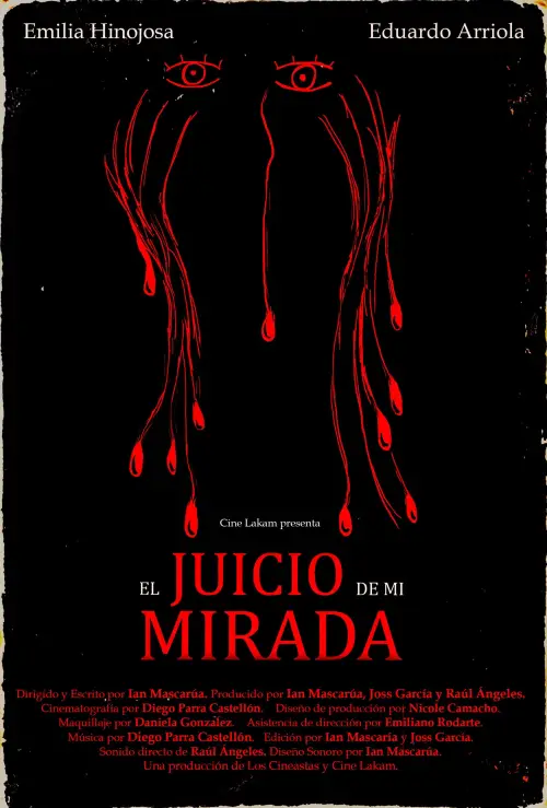 Постер до фільму "El juicio de mi mirada."