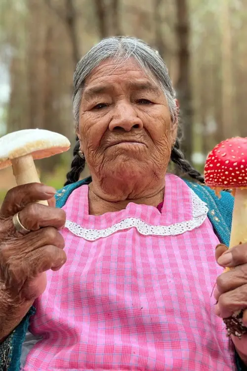 Постер до фільму "Daughters of the Forest"