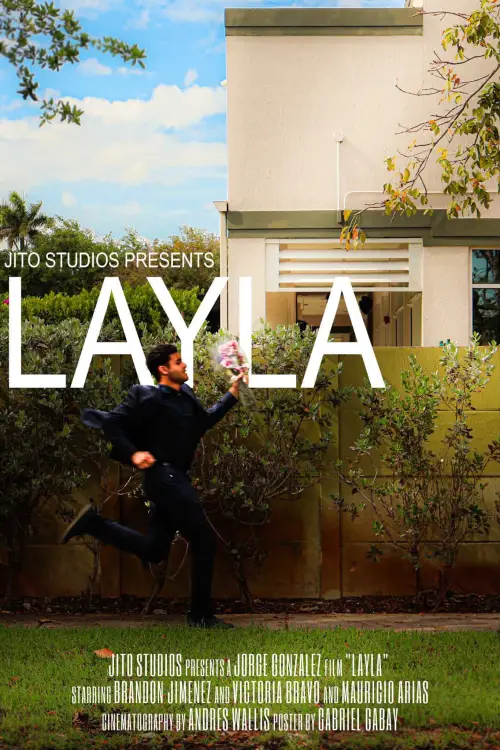 Постер до фільму "LAYLA"