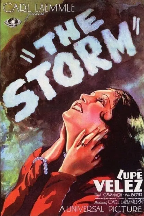Постер до фільму "The Storm"