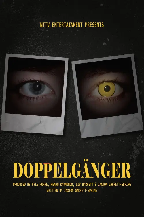 Постер до фільму "Doppelgänger"