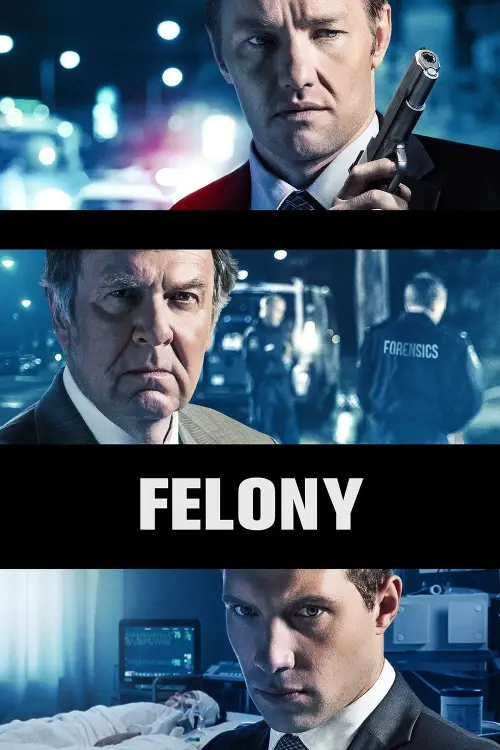 Постер до фільму "Felony"
