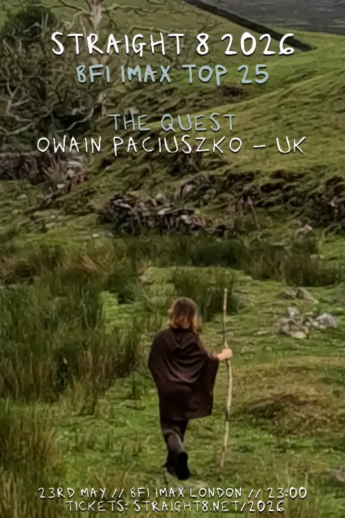 Постер до фільму "The Quest"