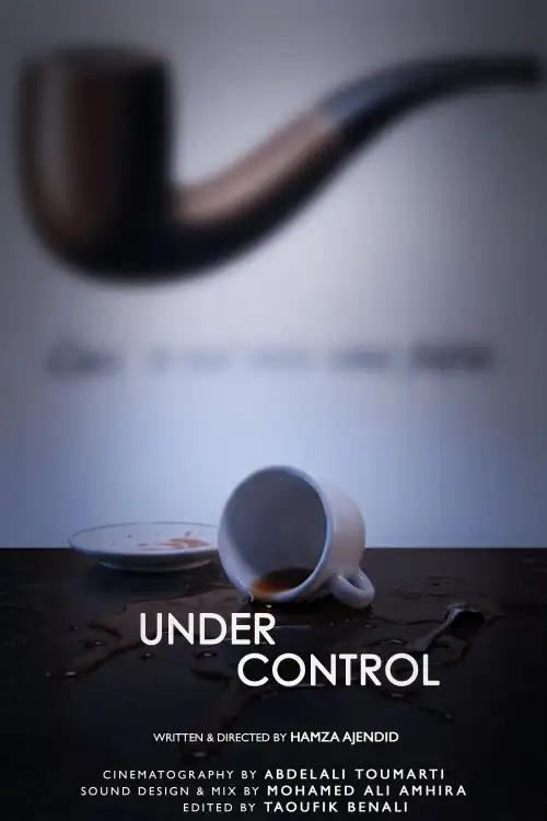 Постер до фільму "Under Control"