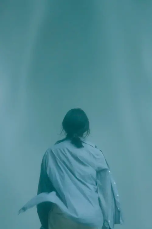 Постер до фільму "The Death of Summer Cicada"