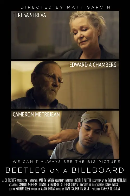 Постер до фільму "Beetles on a Billboard"