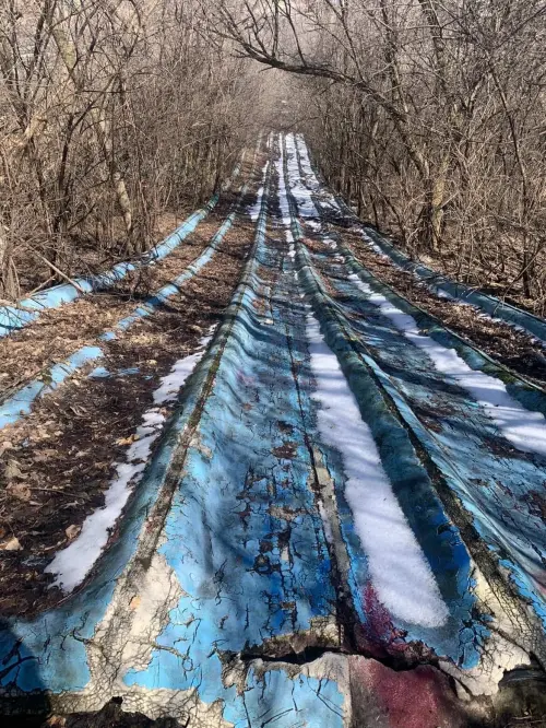 Постер до фільму "Closed for the Season"