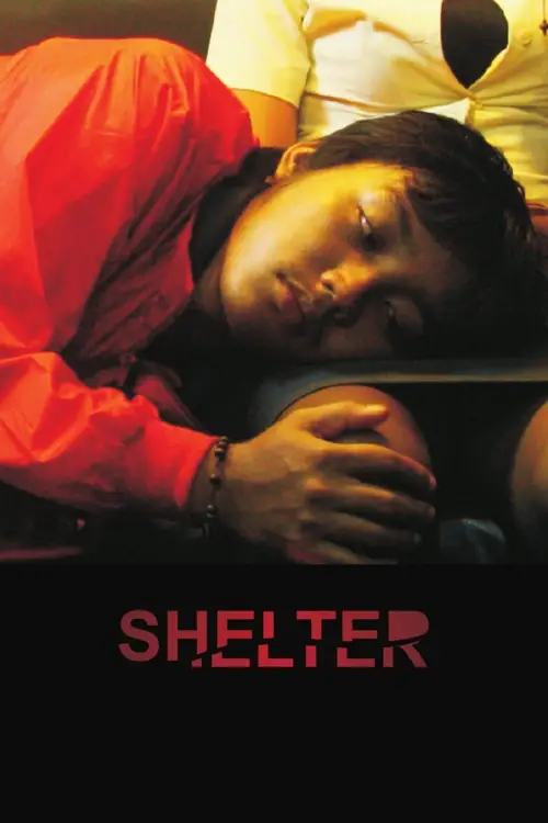 Постер до фільму "Shelter"