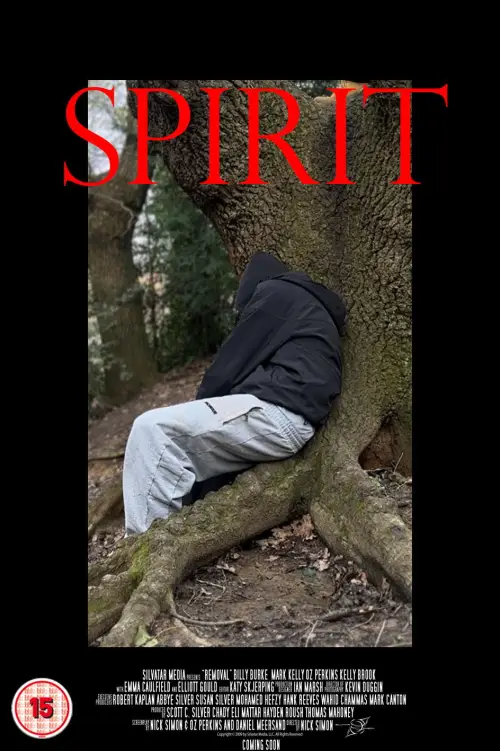 Постер до фільму "SPIRIT"