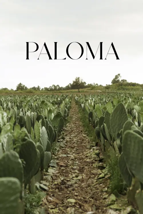 Постер до фільму "Paloma"