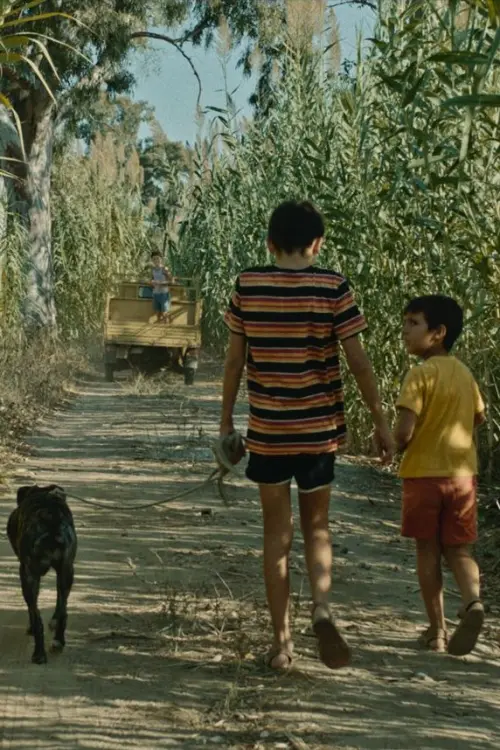 Постер до фільму "The Dog Is My Dog"