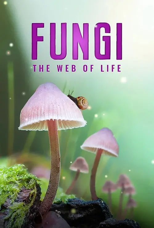 Постер до фільму "Fungi: The Web of Life"