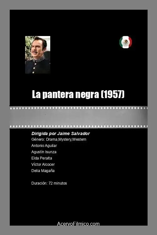Постер до фільму "La pantera negra"