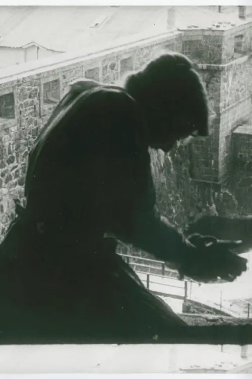 Постер до фільму "The Father"