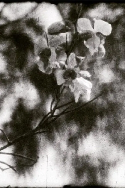 Постер до фільму "A Thousand Days, A Thousand Nights"