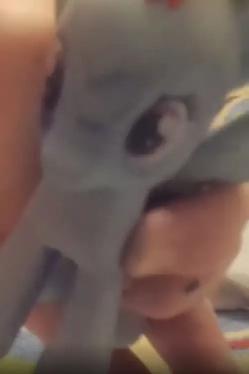 Постер до фільму "Travel to find yourself and Be yourself"