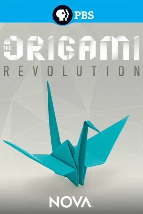 Постер до фільму "The Origami Revolution"