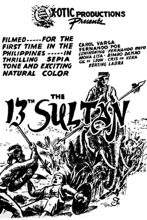 Постер до фільму "The 13th Sultan"