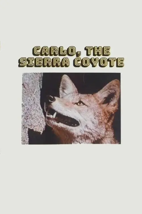 Постер до фільму "Carlo the Sierra Coyote"