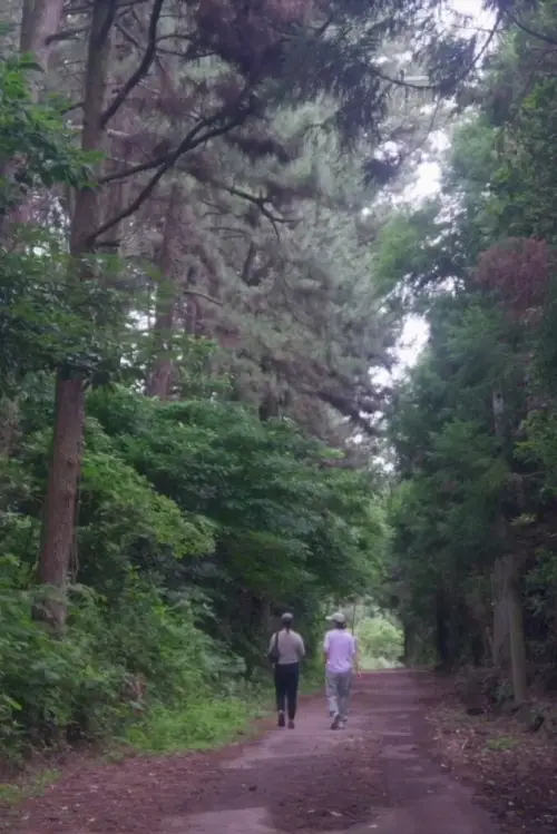 Постер до фільму "The Time of Jeju"