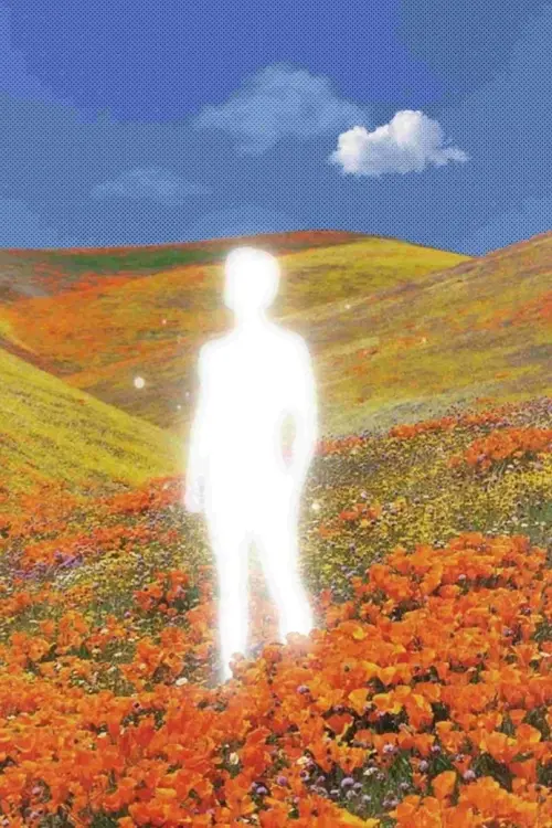 Постер до фільму "Newton