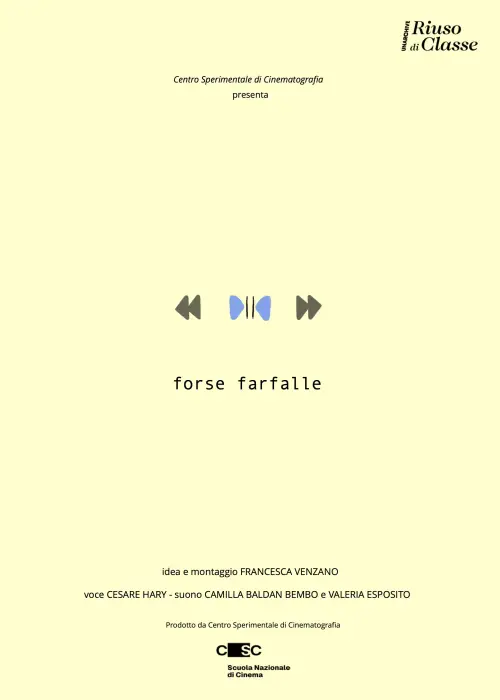 Постер до фільму "Forse farfalle"