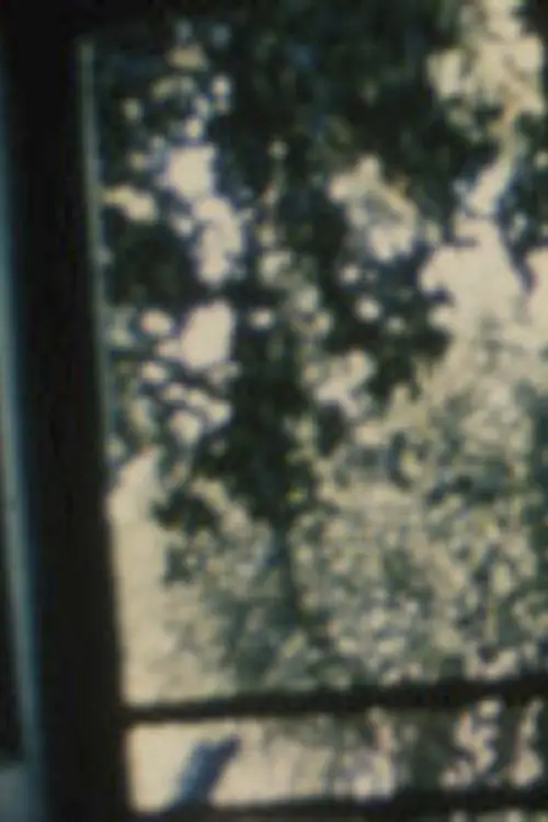 Постер до фільму "Пісня 19"