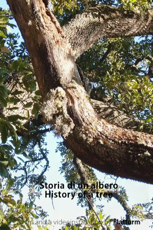 Постер до фільму "Storia Di Un Albero"