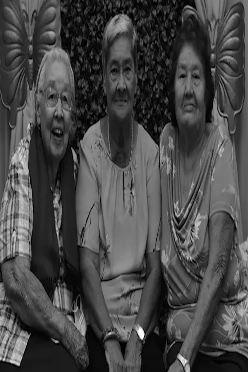 Постер до фільму "Three Parallel Reflections on the Past"