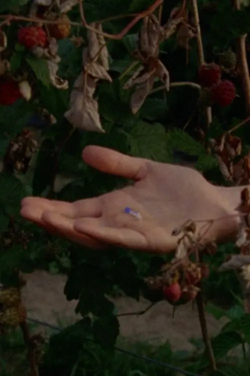 Постер до фільму "The Garden Had Not Disappeared"