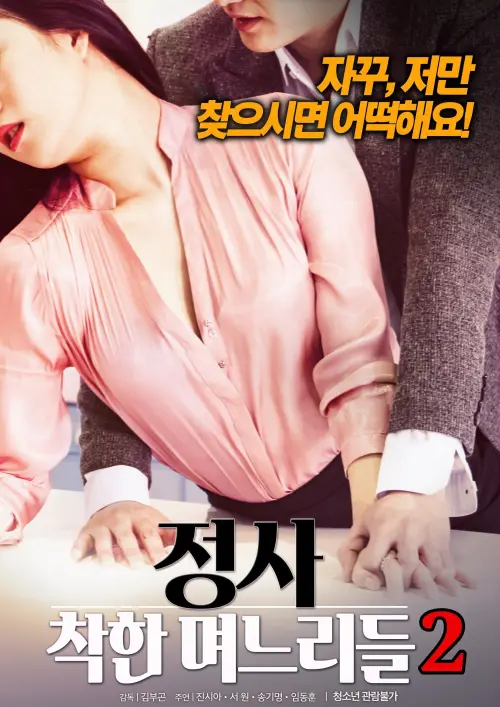 Постер до фільму "An Affair: Kind Daughters-in-law 2"