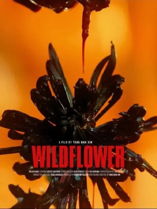 Постер до фільму "Wildflower"