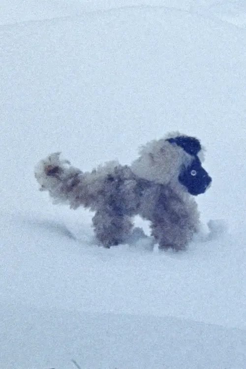 Постер до фільму "February Answers"