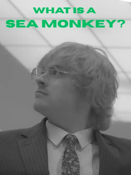 Постер до фільму "What Is A Sea Monkey?"