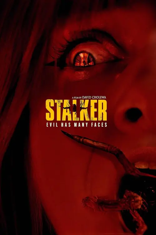 Постер до фільму "Stalker"