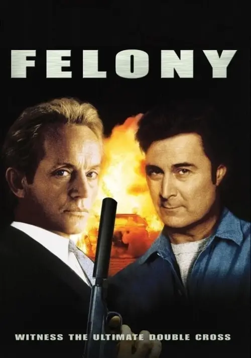 Постер до фільму "Felony"