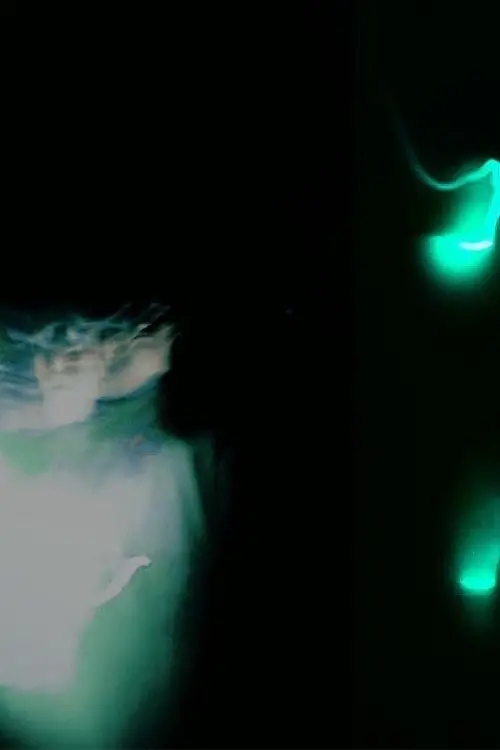 Постер до фільму "Fleeting Whispers"