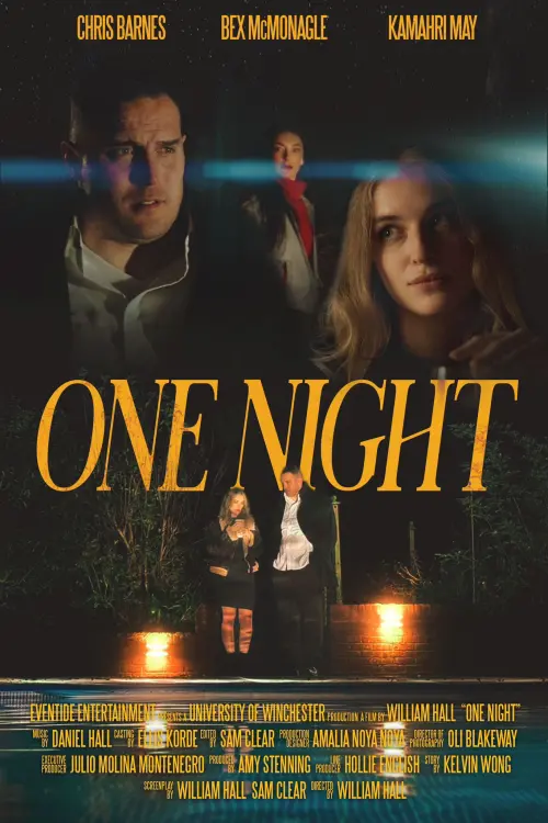 Постер до фільму "One Night"