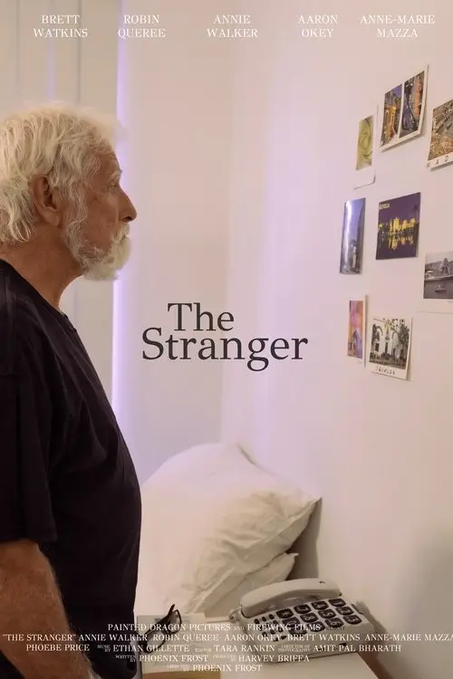 Постер до фільму "The Stranger"