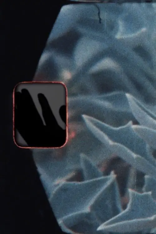 Постер до фільму "Tell It to Spring"