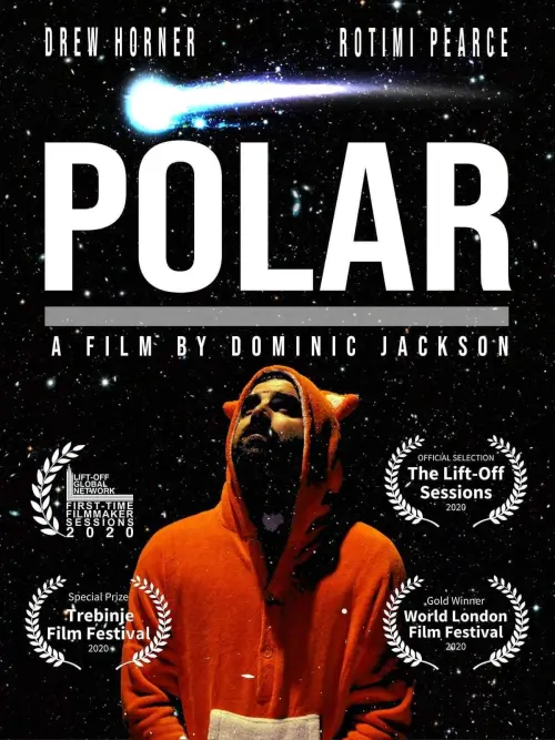Постер до фільму "Polar"
