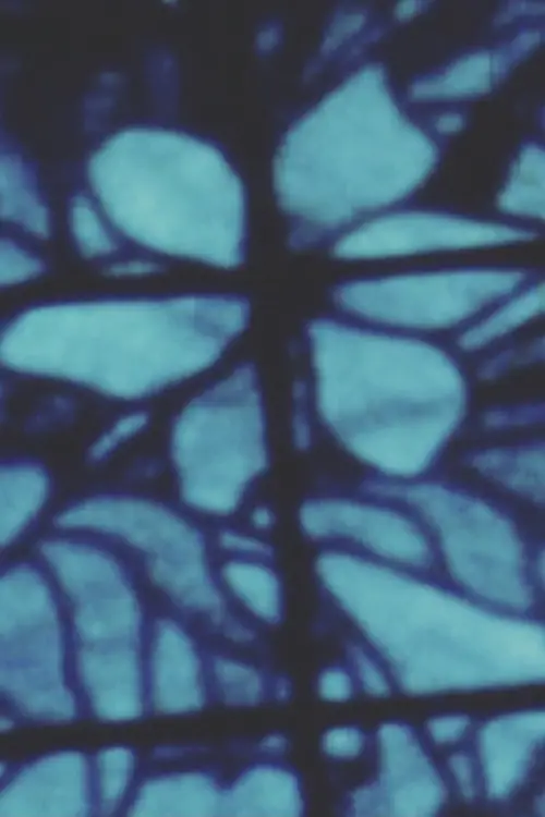 Постер до фільму "Пісня 17"