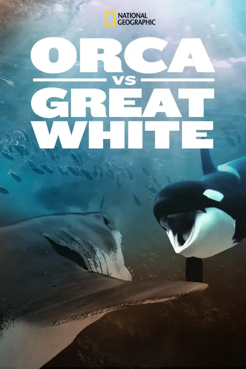 Постер до фільму "Orca Vs. Great White"