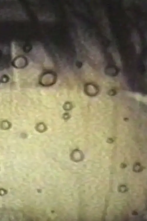 Постер до фільму "Alone at Last_1988"