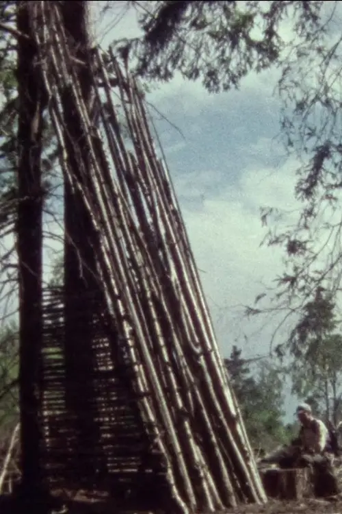 Постер до фільму "Lumber"