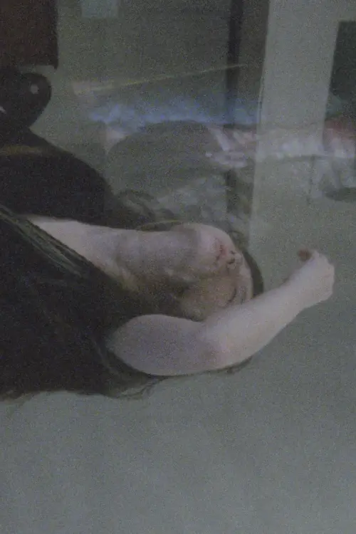 Постер до фільму "One Room Triptych"