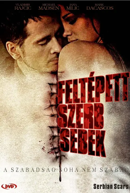 Постер до фільму "Serbian Scars"