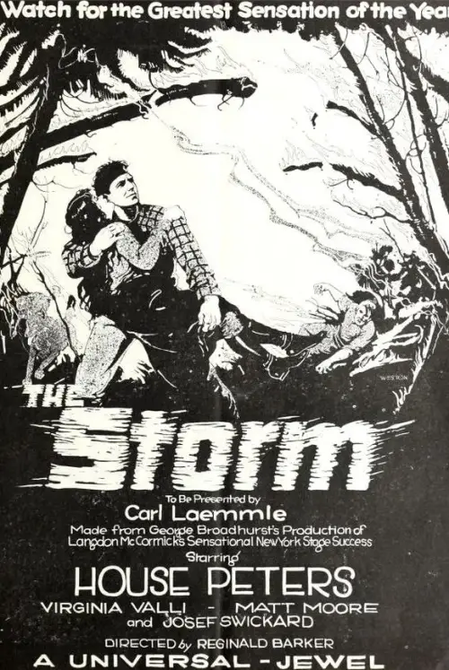 Постер до фільму "The Storm"