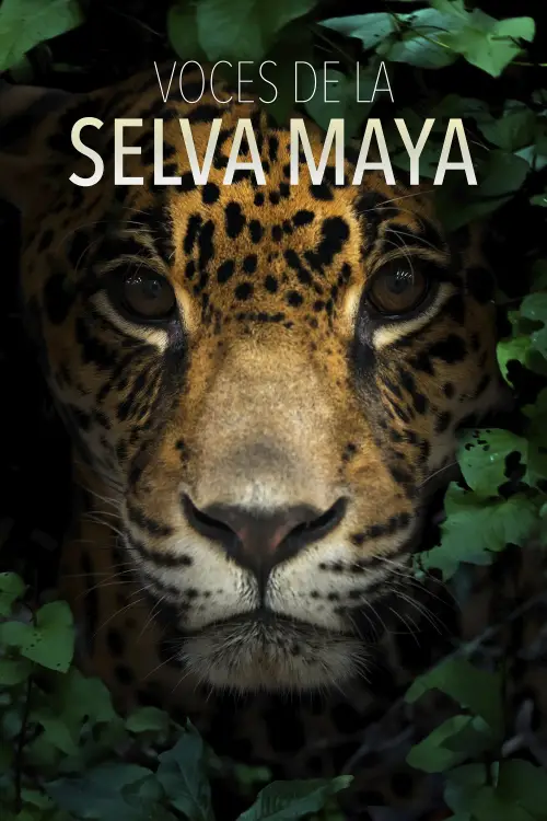 Постер до фільму "Voces de la Selva Maya: Una Batalla por la Vida"