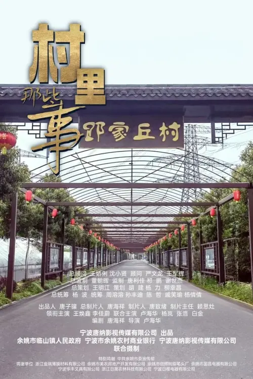 Постер до фільму "村里那些事"